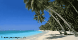 puffin travel insurance​