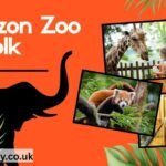 Amazon Zoo Norfolk