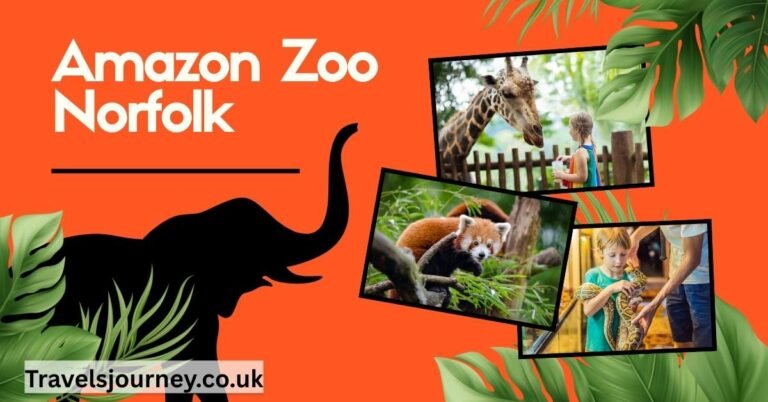 Amazon Zoo Norfolk