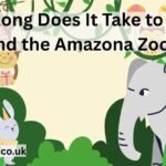 amazona zoo