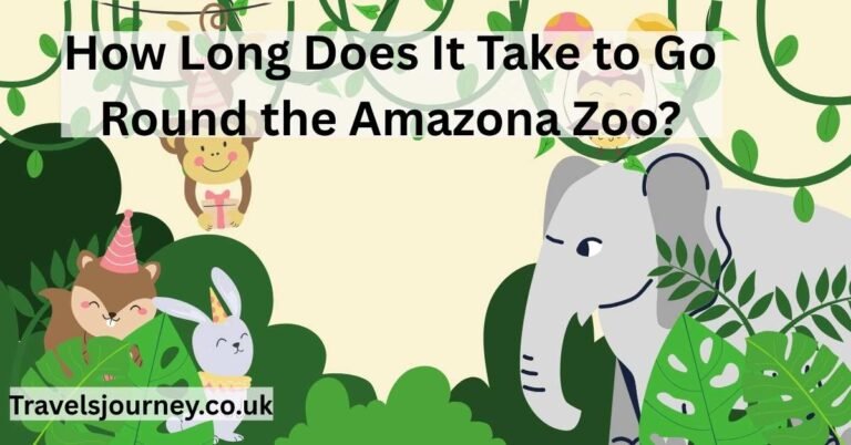 amazona zoo