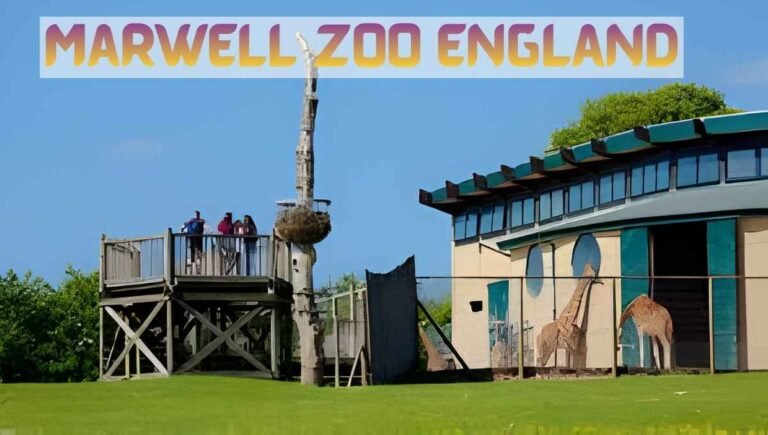 Marwell Zoo England
